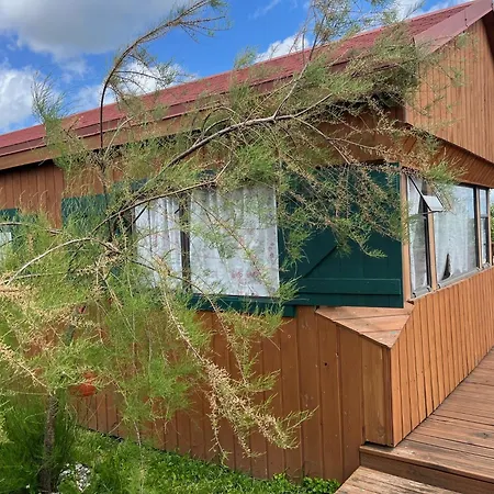 Czapla Campsite Stare Sady