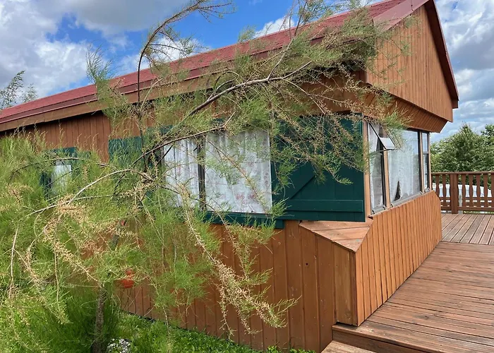 Czapla Campsite Stare Sady